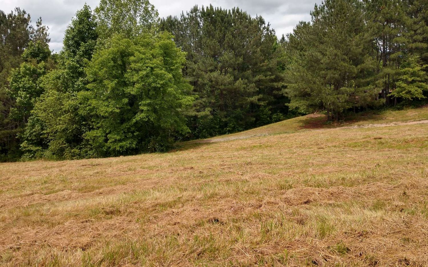 1775 Hwy 64 W, Hayesville, NC 28904